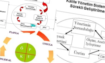 Yönetim Sisteminizi İyileştirmek Mi İstiyorsunuz?