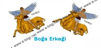 Boğa Burcu Erkeği