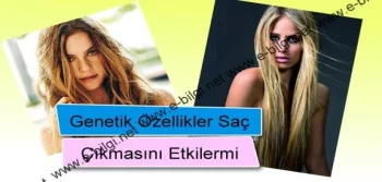 Genetik Özellikler Saç Çıkmasını Etkilermi