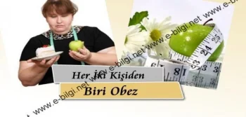 Her İki Kişiden Biri Obez