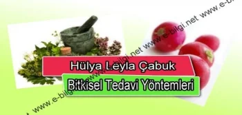 Hülya Leyla Çabuk Bitkisel Tedavi Yöntemleri