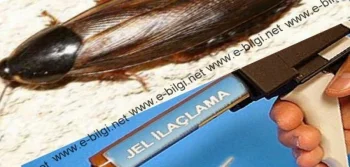 Jel İlaçlama Nedir? Nasıl Yapılır?