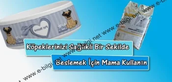 Köpeklerinizi Sağlıklı Bir Şekilde Beslemek İçin Mama Kullanın