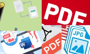 PDF to JPG Ne İşe Yarar?