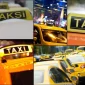 What Causes Taxi Plate Prices to Vary?
