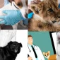 Veteriner Klinik Yönetim Uygulaması Nasıl Yaptırılır?