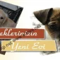 Köpeklerinizin Yeni Evi