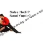Salsa Nedir Nasıl Yapılır.