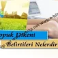 Topuk Dikeni Belirtileri Nelerdir