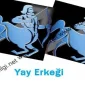 Yay Burcu Erkeği