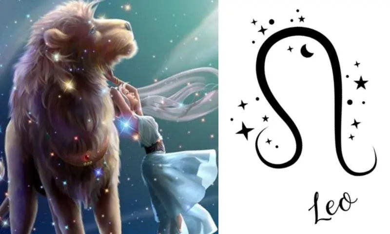 aslan-burcu-2li